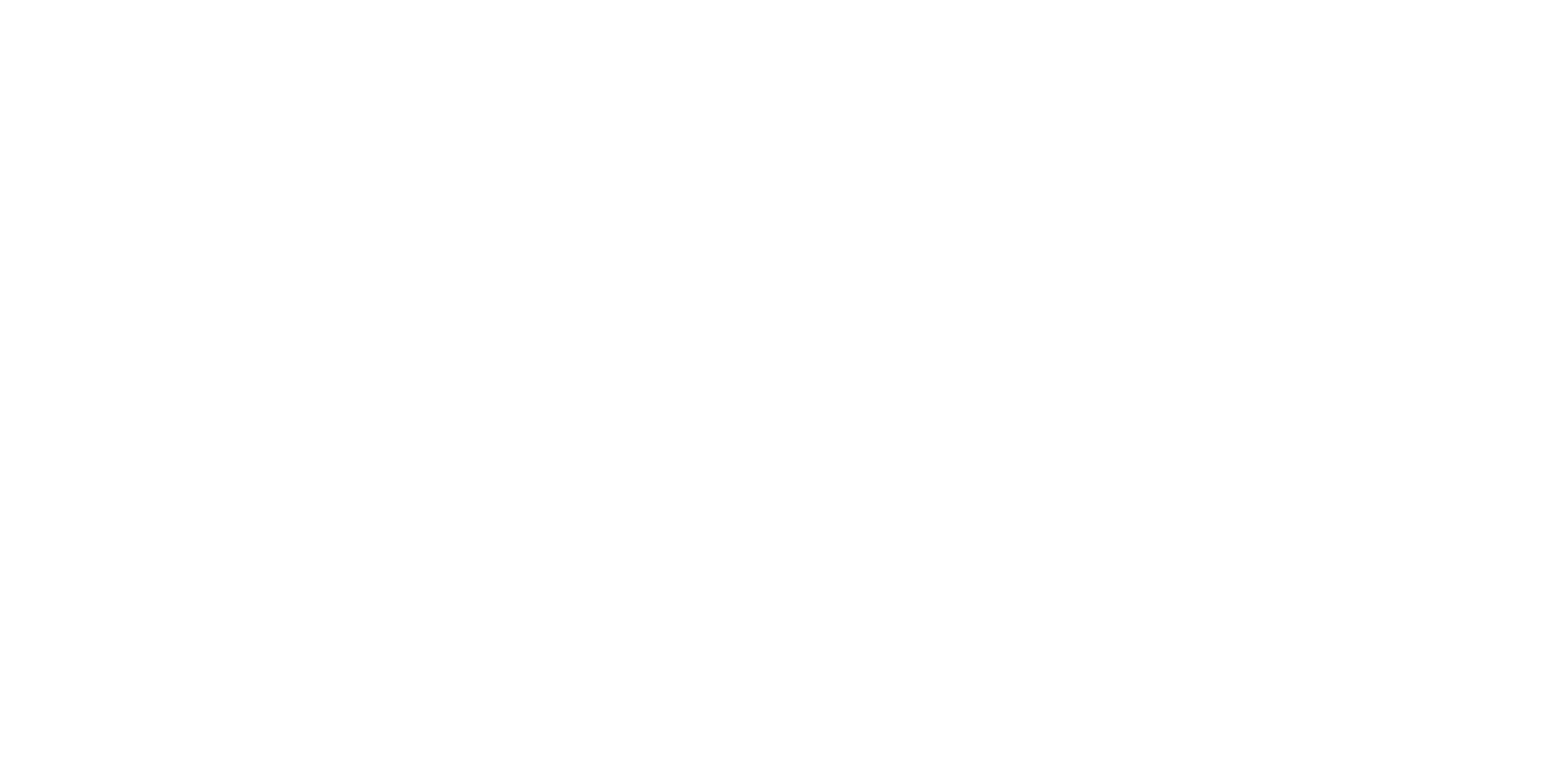 Partner-Logo Dolly
